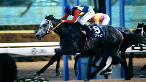 1990馬|有馬記念｜1990年12月23日